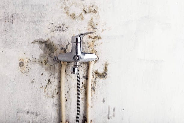  Innotion, VA Mold Removal Pros