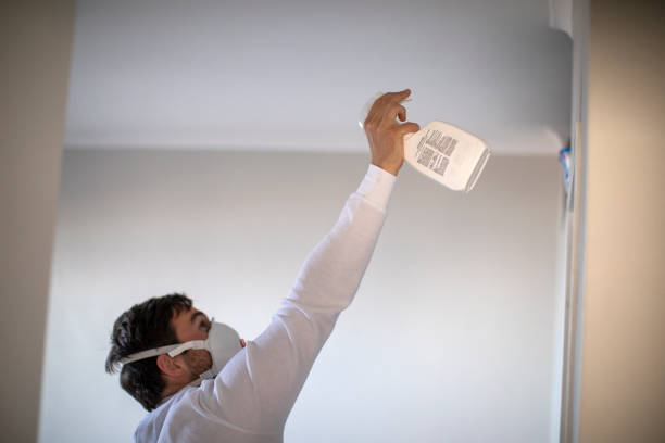 Crawl Space Mold Removal in Innovation, VA