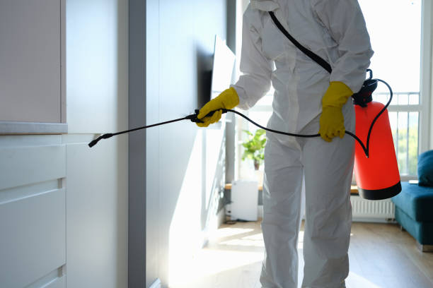 Best Mold Remediation  in Innotion, VA