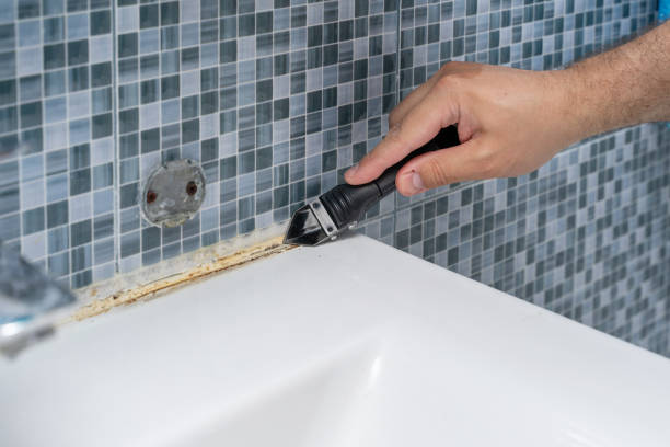 Professional Mold Removal in Innovation, VA