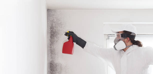 Best Professional Mold Removal  in Innotion, VA
