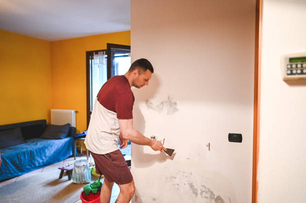Attic Mold Removal in Innovation, VA