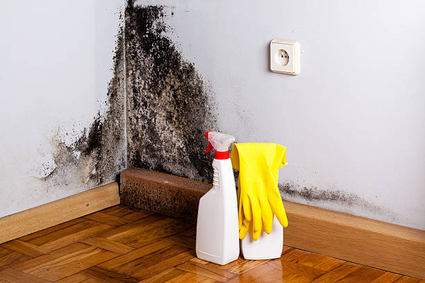 Best Emergency Mold Removal  in Innotion, VA