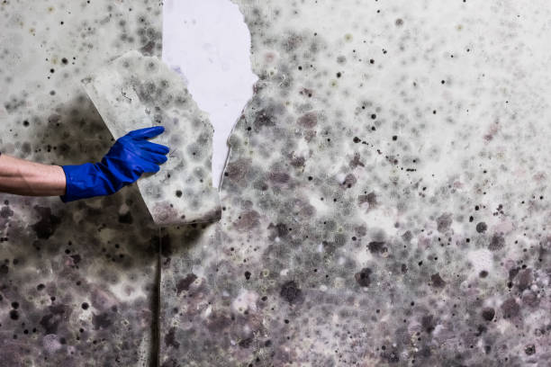 Best Water Damage Restoration  in Innotion, VA